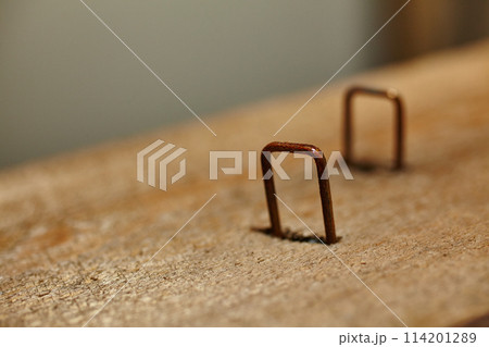 Rusty Staples in Weathered Wood, Symbolizing Decay and Time Passage Close-Up Rusty Staples in Weathered Wood, Symbolizing Decay and Time Passage Close-Up 114201289