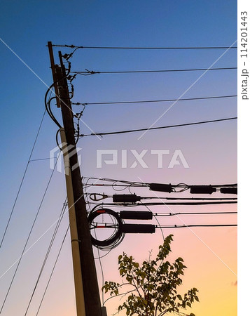 Utility Pole at Dusk with Electrical Equipment and Tree Silhouette 114201443