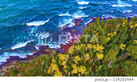 Aerial Top Down View of Autumn Forest and Rugged Lake Superior Shoreline 114201444
