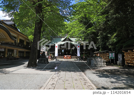 谷保天満宮　社殿 114201654