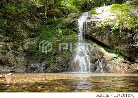 御滝神社の境内の滝 御滝神社の境内の滝 114201876