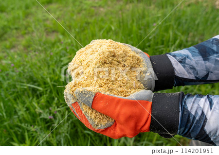 竹チップイメージ｜竹を粉砕してチップ化｜土壌改良や肥料として活用 114201951