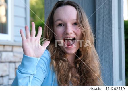 Young woman teenager speaking on video call, vlogger using smartphone talking at camera webcam online, selfie call, record lifestyle vlog, blogger online streaming, communicating with friend.  114202519