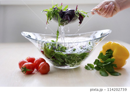 Woman's hands washing vegetables in sink in kitchen 114202739