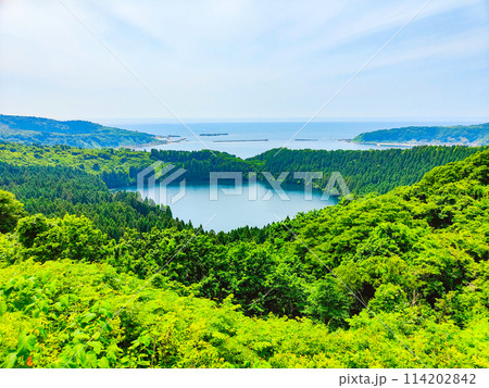 八望台（二ノ目潟・戸賀湾） 114202842