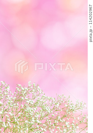 パステル色の木漏れ日とかすみ草、光あふれるラブリーな背景 114202967