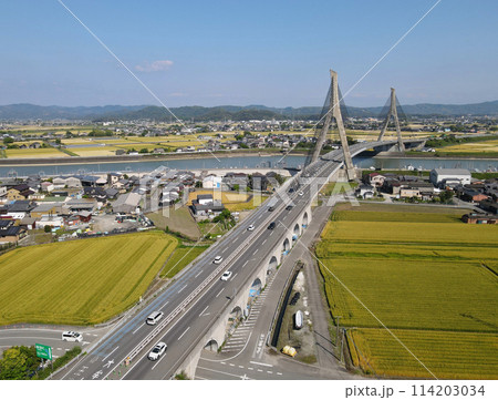福岡県柳川市とみやま市の間を流れる矢部川に架かる矢部川大橋 日本一の長さのコンクリート製斜張橋 福岡県柳川市とみやま市の間を流れる矢部川に架かる矢部川大橋 日本一の長さのコンクリート製斜張橋 114203034