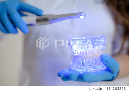 Photopolymer lamp Doctor Fairy with glowing blue lamp in white medical suit Dentist treatment of teeth prosthetics treat gums caries beautiful woman advertisement of dental office latest technology Photopolymer lamp Doctor Fairy with glowing blue lamp in white medical suit Dentist treatment of teeth prosthetics treat gums caries beautiful woman advertisement of dental office latest technology 114203238