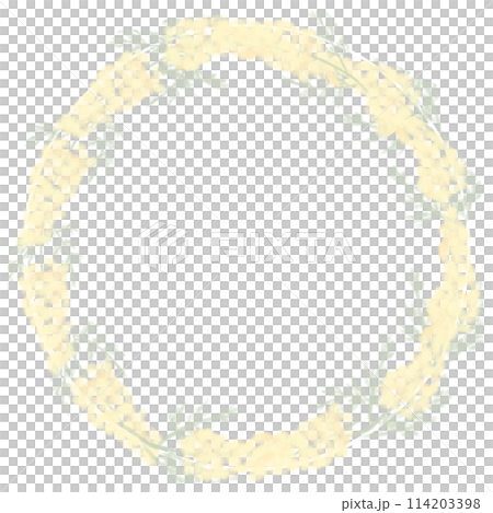A soft image of a circular frame of mimosa A soft image of a circular frame of mimosa 114203398