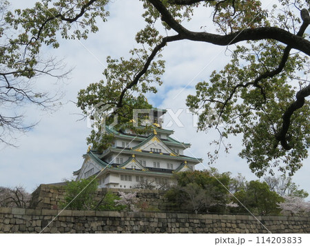 大阪城天守閣 大阪城天守閣 114203833