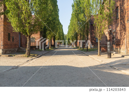 【ポーランド】アウシュビッツ・ビルケナウ強制収容所内の閑散とした夕方の並木路と赤レンガ造りの建物 114203843