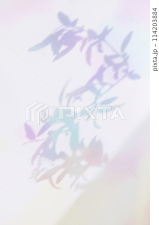 colorful plant shadows 114203884