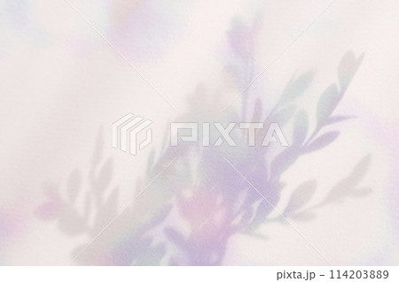 colorful plant shadows colorful plant shadows 114203889