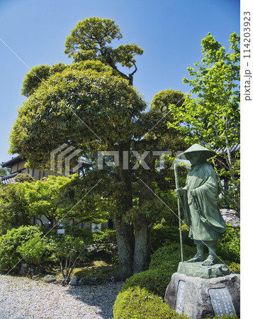 春の證誠寺 114203923