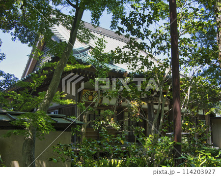 春の證誠寺 春の證誠寺 114203927