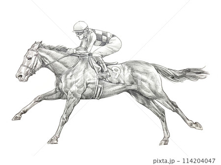 馬に乗って走る 114204047