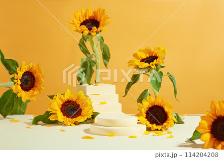 Yellow background against various sunflowers neatly arranged on the white table strewn with flower petals, empty podium in center for displaying. Front view photo and copy space 114204208