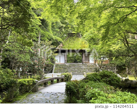 新緑の寺院 114204511