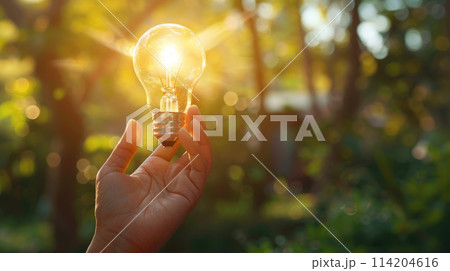 Hand holding a bright luminous Light Bulb on bokeh background. Copy space Hand holding a bright luminous Light Bulb on bokeh background. Copy space 114204616