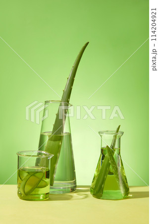 The creative template with elements of aloe vera and laboratory equipment for designing photo of aloe vera cosmetic research theme. Blank space for text, front view The creative template with elements of aloe vera and laboratory equipment for designing photo of aloe vera cosmetic research theme. Blank space for text, front view 114204921