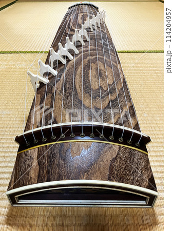 日本の和室の畳の上に伝統的な13本の弦楽器である琴柱付きの箏がある。 114204957
