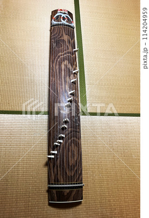 日本の和室の畳の上に伝統的な13本の弦楽器である琴柱付きの箏がある。　全体像 114204959