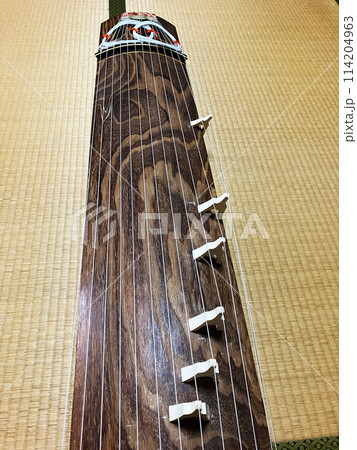 日本の和室の畳の上に伝統的な13本の弦楽器である琴柱付きの箏がある。 日本の和室の畳の上に伝統的な13本の弦楽器である琴柱付きの箏がある。 114204963