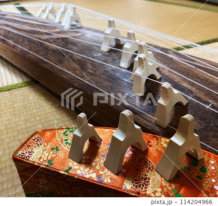 日本の和室の畳の上に伝統的な13本の弦楽器である琴柱付きの箏がある。琴柱のアップ 114204966