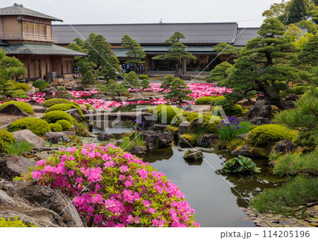 由志園 池泉牡丹2024(島根県松江市) 由志園 池泉牡丹2024(島根県松江市) 114205196