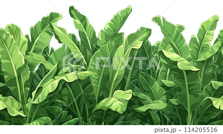 南国風観葉植物の密集