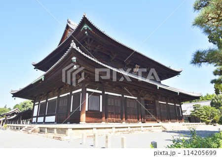 東福寺の本堂 114205699