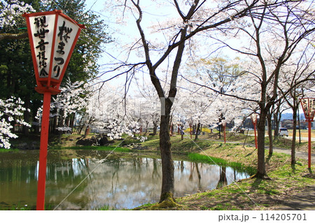 大井田の郷公園・桜まつり 114205701
