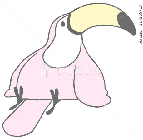 座って右を振り向くオオハシ(さくら色) 座って右を振り向くオオハシ(さくら色) 114205717