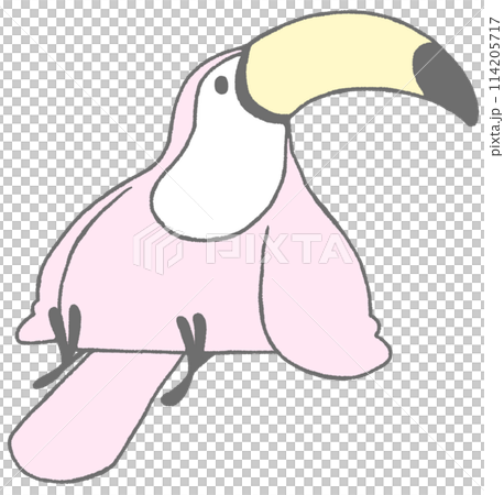 座って右を振り向くオオハシ(さくら色) 座って右を振り向くオオハシ(さくら色) 114205717