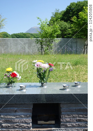 樹林墓地 樹林墓地 114205808