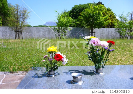 樹林墓地 樹林墓地 114205810