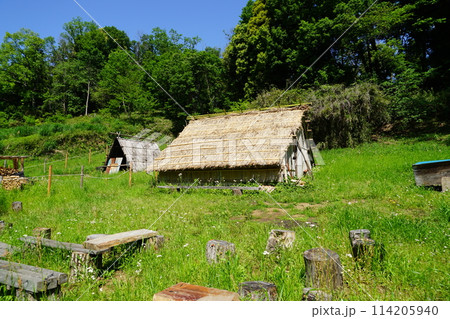 東京都町田市の奈良ばい谷戸の炭焼き小屋の風景 114205940