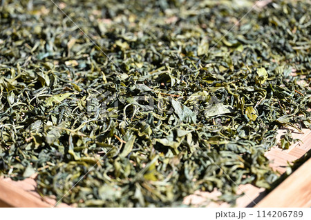 茶葉の天日干し 114206789