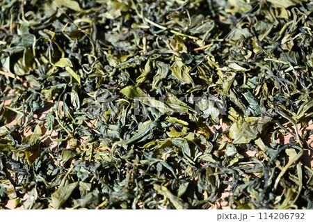 茶葉の天日干し 茶葉の天日干し 114206792