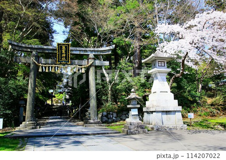 春・桜咲く頃… 塩竈みなと祭の出発点【鹽竈神社】 春・桜咲く頃… 塩竈みなと祭の出発点【鹽竈神社】 114207022