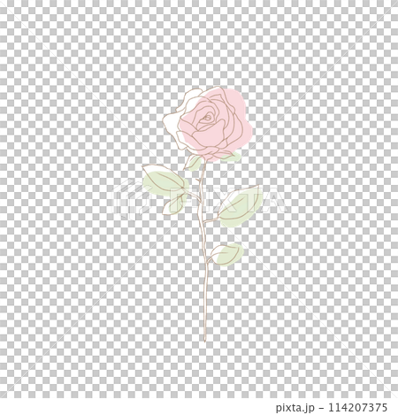 手繪粉色簡約單朵玫瑰 114207375
