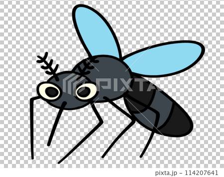 Cute mosquito illustration material Cute mosquito illustration material 114207641