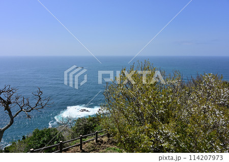 樺島灯台公園からの風景 114207973