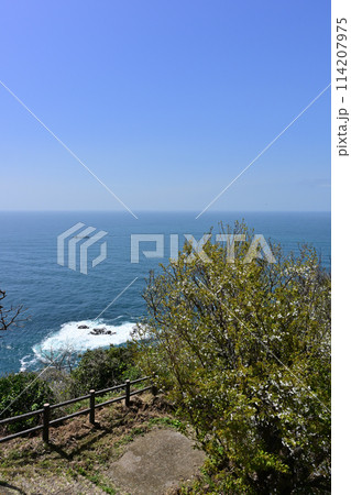 樺島灯台公園からの風景 樺島灯台公園からの風景 114207975