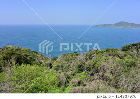 樺島灯台公園からの風景 114207976