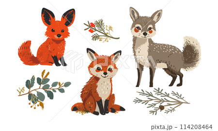 Hand drawn foxes and foliage illustration set 114208464