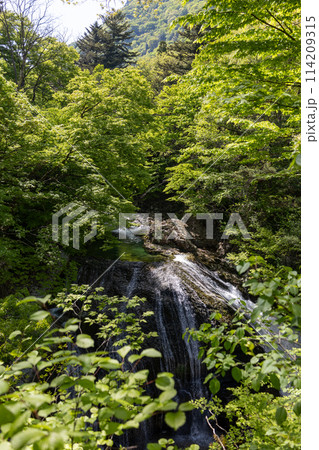 新緑に映える関山大滝 114209315