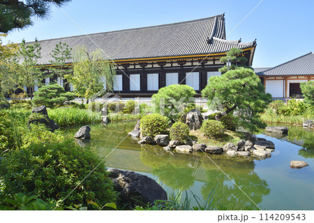三十三間堂の池泉回遊式庭園と本堂 114209543