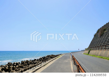 海岸沿いの道 5月上旬 茨城県 海岸沿いの道 5月上旬 茨城県 114209550