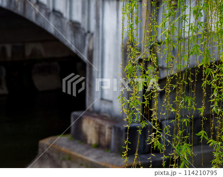 京都散策　東山七条　七条大橋風景 114210795